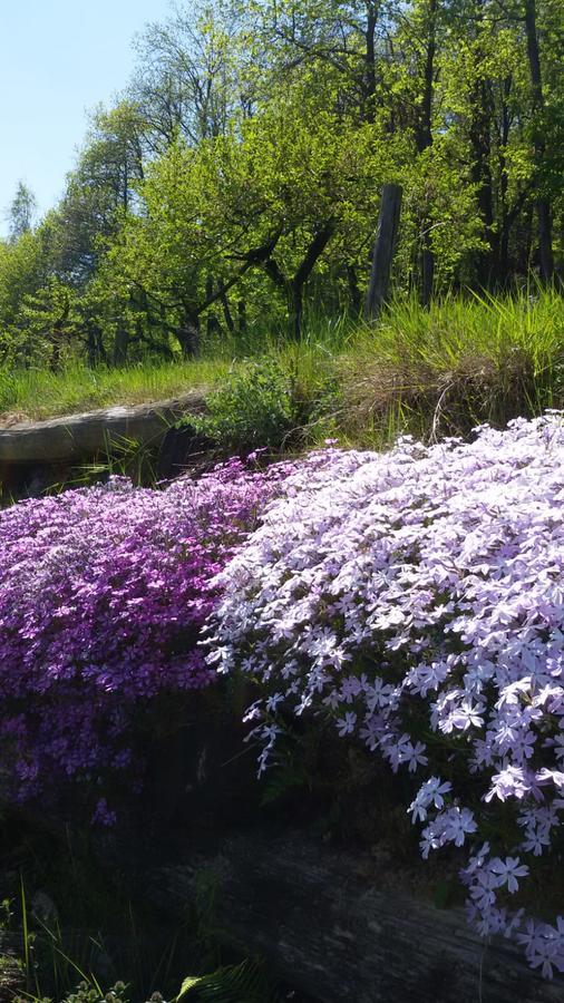 Il Sogno Della Vita Agriresort - Country Rooms & Suites Peveragno Zewnętrze zdjęcie