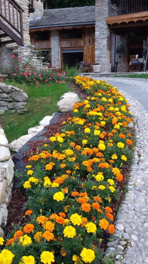 Il Sogno Della Vita Agriresort - Country Rooms & Suites Peveragno Zewnętrze zdjęcie